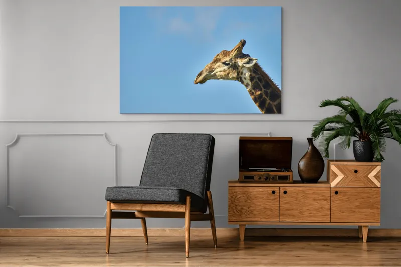 Tablou Canvas, "Stăpânul înălțimilor sub cerul senin", Ghepard, Cer, Roti, Pustiu, Apus, Curbe, Contur, Pene, 150 x 100 cm – poza 8