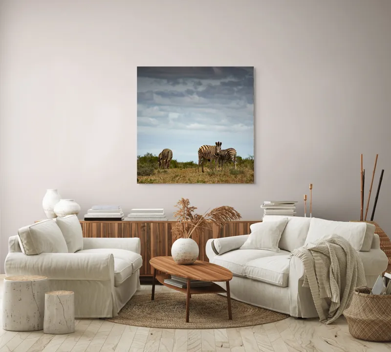 Tablou Canvas, "Zebrele pe savana africana verde", Zebre, Câmpie, Nori, Vegetație, Natură, Cer, Sălbăticie, 100 x 100 cm – poza 3