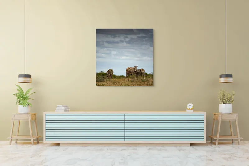 Tablou Canvas, "Zebrele pe savana africana verde", Zebre, Câmpie, Nori, Vegetație, Natură, Cer, Sălbăticie, 100 x 100 cm – poza 5