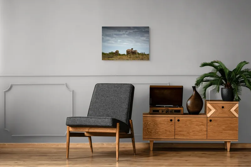 Tablou Canvas, "Zebrele pe savana africana verde", Zebre, Câmpie, Nori, Vegetație, Natură, Cer, Sălbăticie, 70 x 50 cm – poza 4