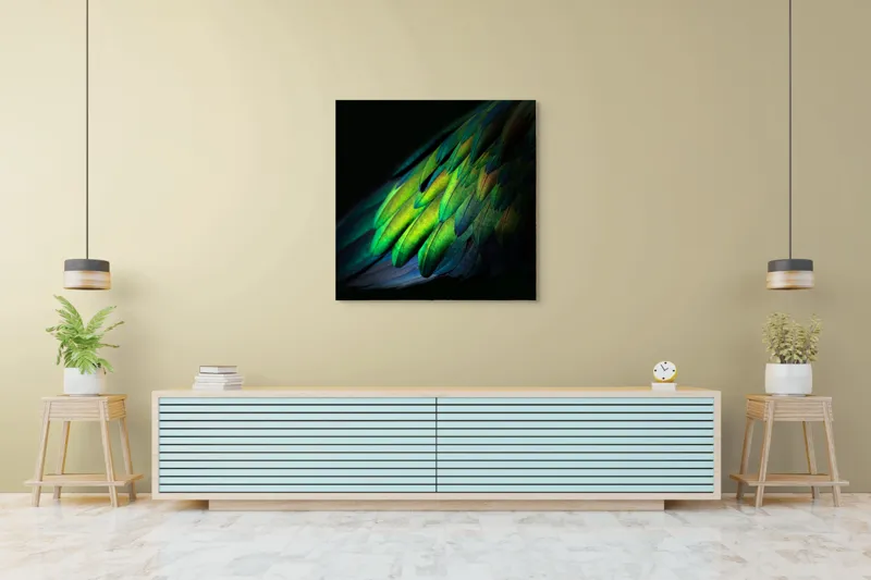 Tablou Canvas, "Aripi irizate în lumină obscură", Culori, Pene, Lumină, Verde, Textură, Frumusețe, Natură, Mister, Strălucire, Gradient, 100 x 100 cm – poza 5