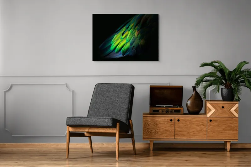 Tablou Canvas, "Aripi irizate în lumină obscură", Culori, Pene, Lumină, Verde, Textură, Frumusețe, Natură, Mister, Strălucire, Gradient, 100 x 70 cm – poza 8