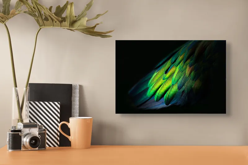 Tablou Canvas, "Aripi irizate în lumină obscură", Culori, Pene, Lumină, Verde, Textură, Frumusețe, Natură, Mister, Strălucire, Gradient, 39 x 26 cm – poza 3