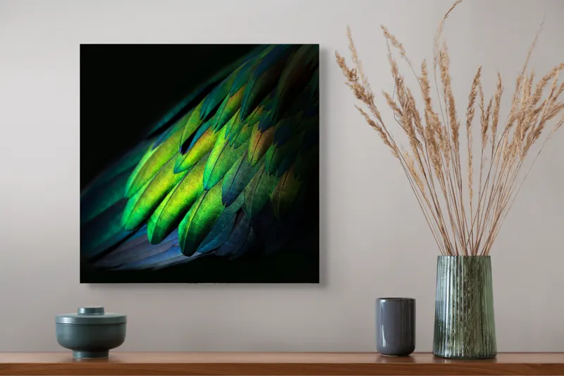 Tablou Canvas, "Aripi irizate în lumină obscură", Culori, Pene, Lumină, Verde, Textură, Frumusețe, Natură, Mister, Strălucire, Gradient, 50 x 50 cm – poza 4