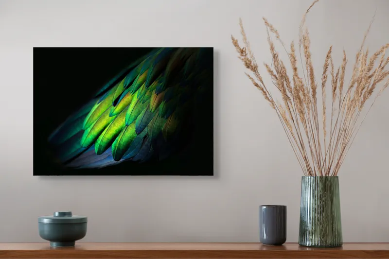 Tablou Canvas, "Aripi irizate în lumină obscură", Culori, Pene, Lumină, Verde, Textură, Frumusețe, Natură, Mister, Strălucire, Gradient, 54 x 39 cm – poza 4