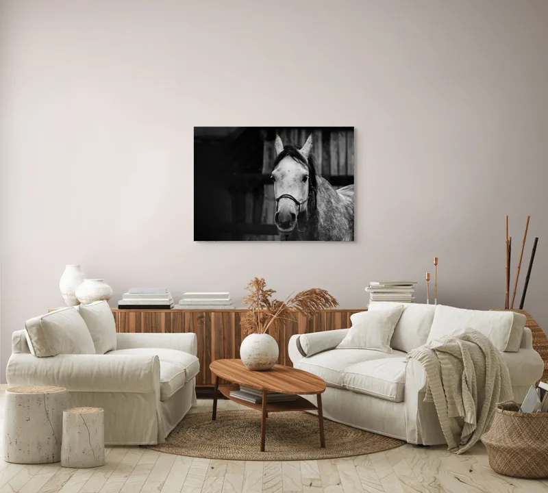 Tablou Canvas, "Calul în așteptarea dimineții solemne", Cal, Legat, Stabie, Privire, Blândă, Monocrom, Misterios., 100 x 70 cm – poza 3