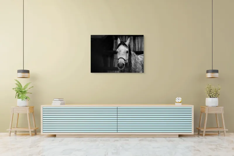 Tablou Canvas, "Calul în așteptarea dimineții solemne", Cal, Legat, Stabie, Privire, Blândă, Monocrom, Misterios., 100 x 70 cm – poza 4