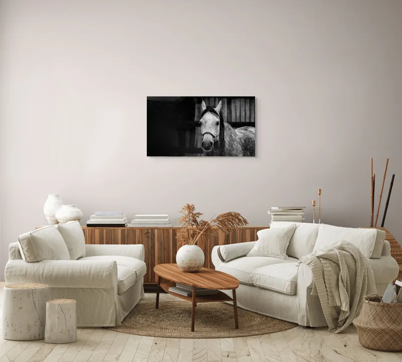 Tablou Canvas, "Calul în așteptarea dimineții solemne", Cal, Legat, Stabie, Privire, Blândă, Monocrom, Misterios., 90 x 50 cm – poza 4