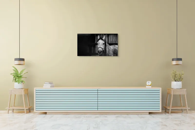 Tablou Canvas, "Calul în așteptarea dimineții solemne", Cal, Legat, Stabie, Privire, Blândă, Monocrom, Misterios., 90 x 50 cm – poza 5