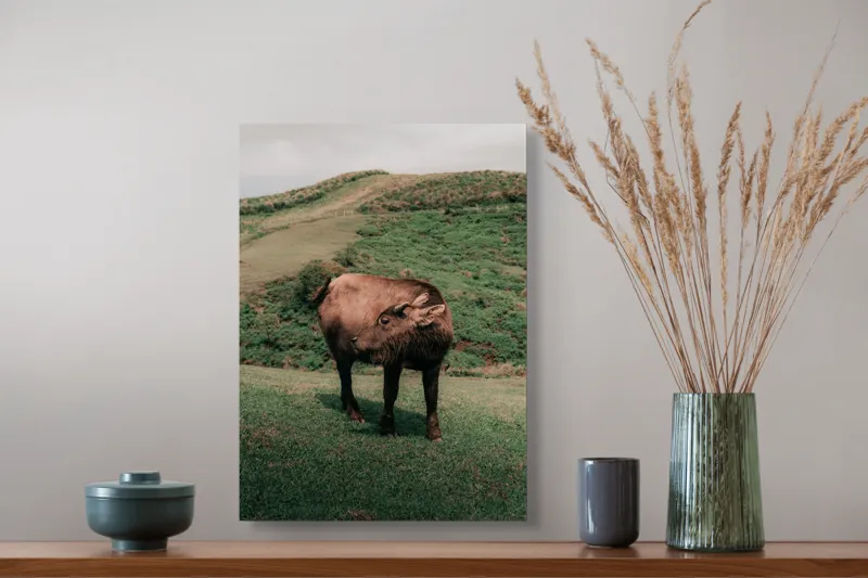 Tablou Canvas, "Bivol singuratic pe deal verde", Iată câteva cuvinte care descriu tabloul: Bivol, Coline, Verdeață, Cer, Natură, Peisaj, Liniște., 39 x 54 cm – poza 3