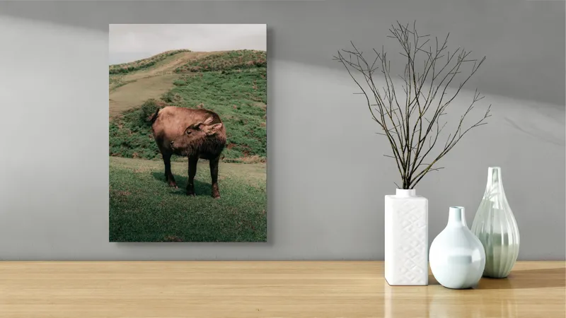Tablou Canvas, "Bivol singuratic pe deal verde", Iată câteva cuvinte care descriu tabloul: Bivol, Coline, Verdeață, Cer, Natură, Peisaj, Liniște., 39 x 54 cm – poza 4