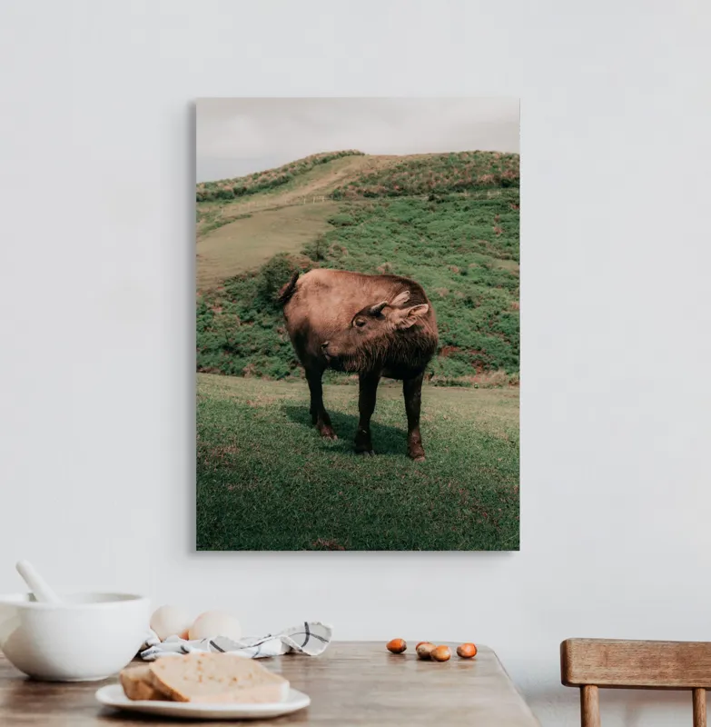 Tablou Canvas, "Bivol singuratic pe deal verde", Iată câteva cuvinte care descriu tabloul: Bivol, Coline, Verdeață, Cer, Natură, Peisaj, Liniște., 50 x 70 cm – poza 3