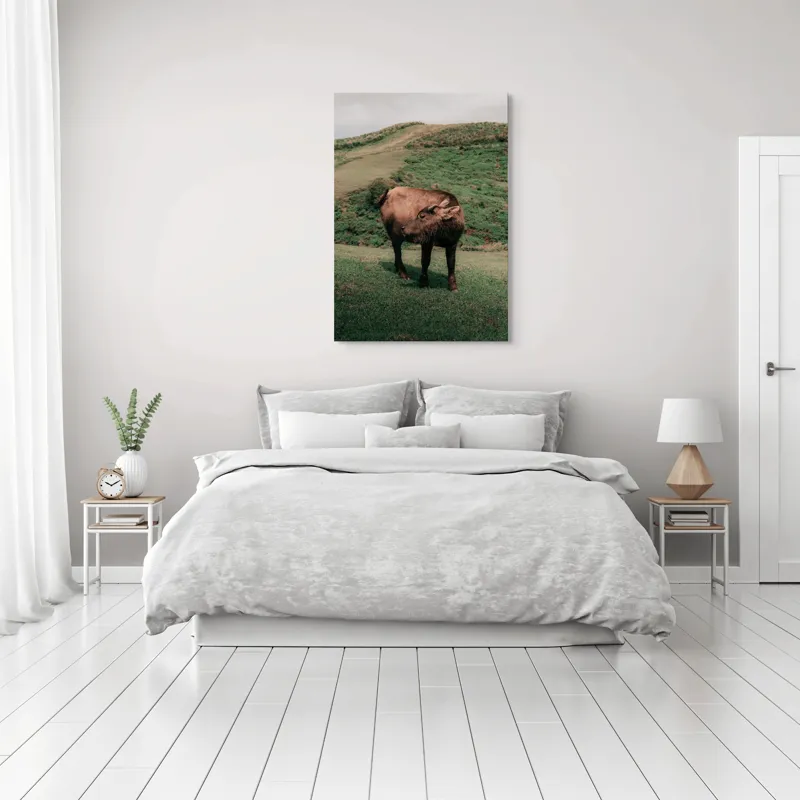 Tablou Canvas, "Bivol singuratic pe deal verde", Iată câteva cuvinte care descriu tabloul: Bivol, Coline, Verdeață, Cer, Natură, Peisaj, Liniște., 70 x 100 cm – poza 3