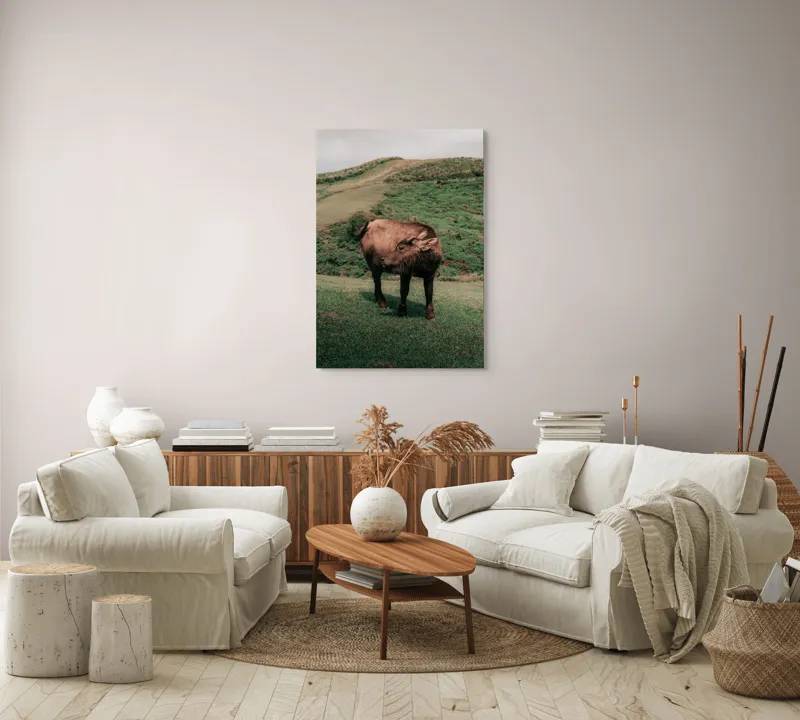Tablou Canvas, "Bivol singuratic pe deal verde", Iată câteva cuvinte care descriu tabloul: Bivol, Coline, Verdeață, Cer, Natură, Peisaj, Liniște., 70 x 100 cm – poza 4