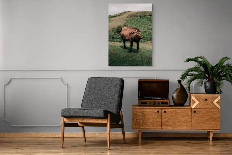 Tablou Canvas, "Bivol singuratic pe deal verde", Iată câteva cuvinte care descriu tabloul: Bivol, Coline, Verdeață, Cer, Natură, Peisaj, Liniște., 70 x 100 cm – poza 6