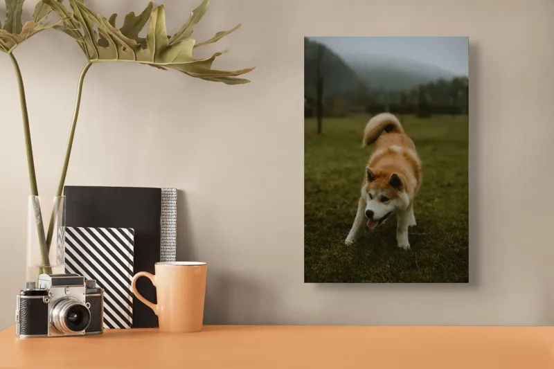 Tablou Canvas, "Câine jucăuș într-o dimineață cețoasă", Câine, Jucăuș, Blană, Verdeață, Coadă, Nori, Pădure, Relaxare, 26 x 39 cm – poza 3