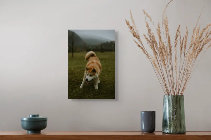 Tablou Canvas, "Câine jucăuș într-o dimineață cețoasă", Câine, Jucăuș, Blană, Verdeață, Coadă, Nori, Pădure, Relaxare, 26 x 39 cm – poza 5