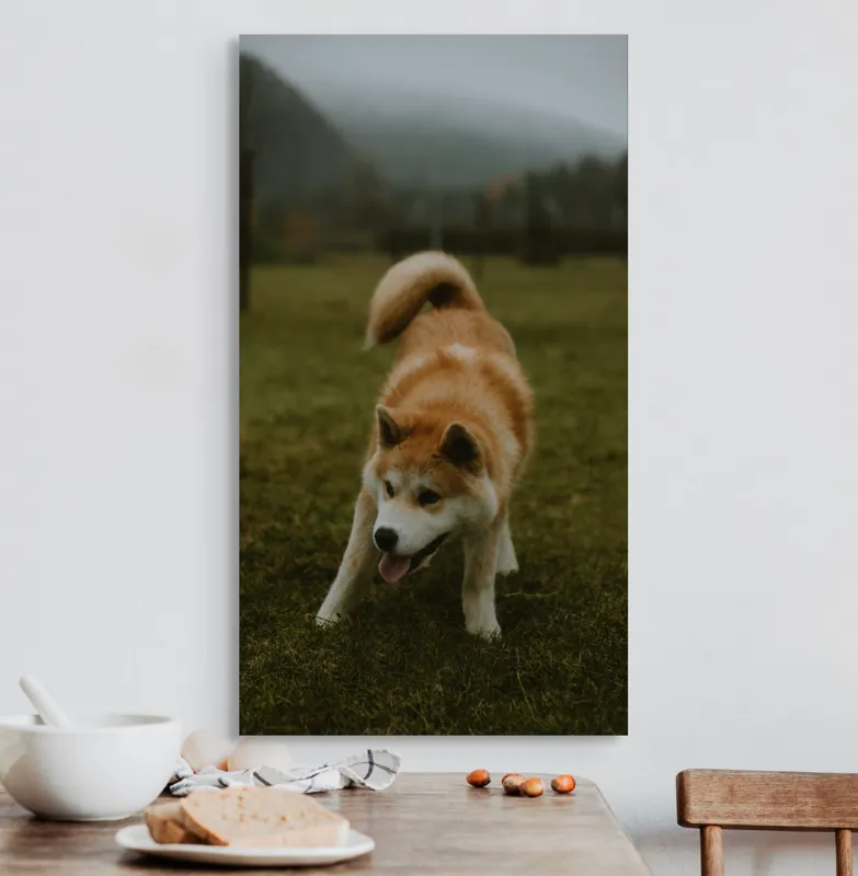 Tablou Canvas, "Câine jucăuș într-o dimineață cețoasă", Câine, Jucăuș, Blană, Verdeață, Coadă, Nori, Pădure, Relaxare, 50 x 90 cm – poza 3