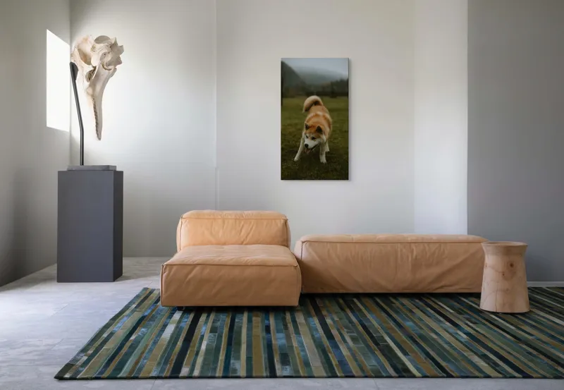 Tablou Canvas, "Câine jucăuș într-o dimineață cețoasă", Câine, Jucăuș, Blană, Verdeață, Coadă, Nori, Pădure, Relaxare, 50 x 90 cm – poza 5