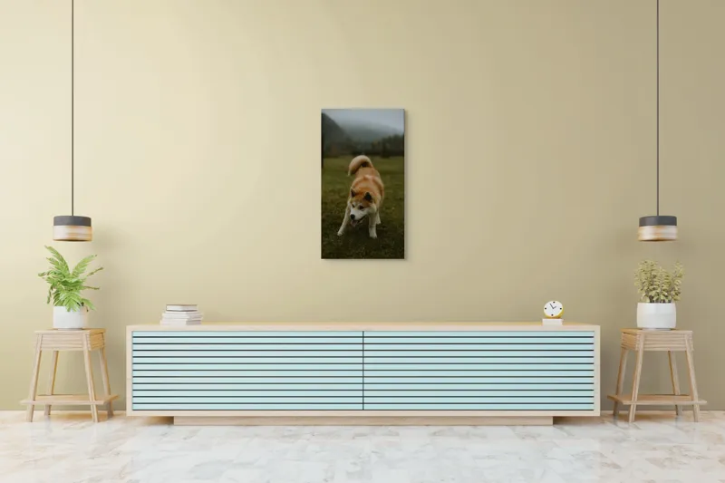 Tablou Canvas, "Câine jucăuș într-o dimineață cețoasă", Câine, Jucăuș, Blană, Verdeață, Coadă, Nori, Pădure, Relaxare, 50 x 90 cm – poza 6