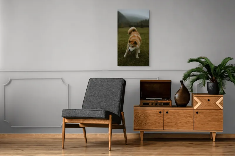 Tablou Canvas, "Câine jucăuș într-o dimineață cețoasă", Câine, Jucăuș, Blană, Verdeață, Coadă, Nori, Pădure, Relaxare, 50 x 90 cm – poza 8