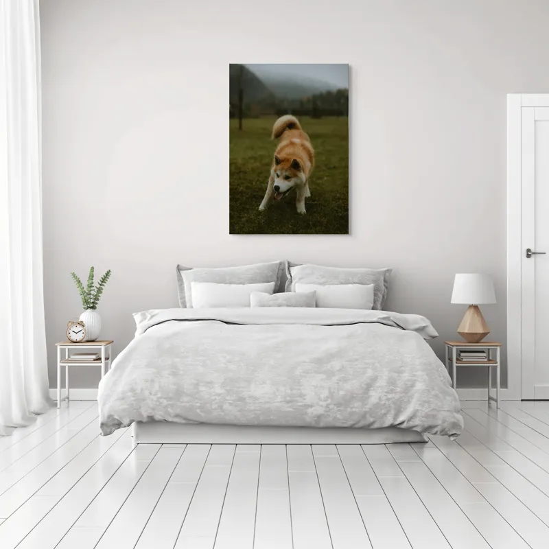 Tablou Canvas, "Câine jucăuș într-o dimineață cețoasă", Câine, Jucăuș, Blană, Verdeață, Coadă, Nori, Pădure, Relaxare, 70 x 100 cm – poza 3