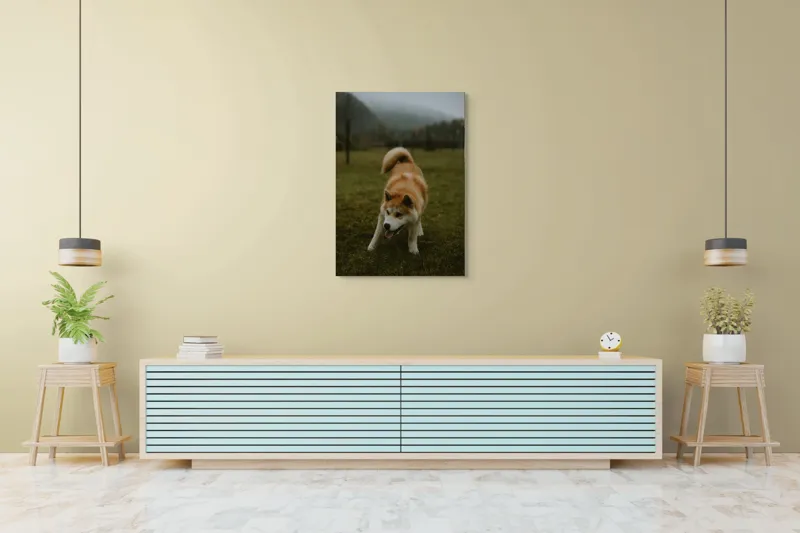 Tablou Canvas, "Câine jucăuș într-o dimineață cețoasă", Câine, Jucăuș, Blană, Verdeață, Coadă, Nori, Pădure, Relaxare, 70 x 100 cm – poza 5