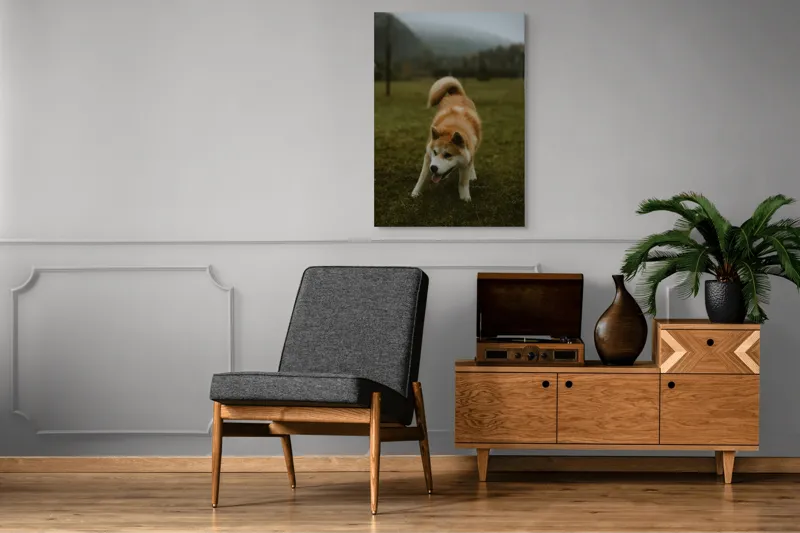 Tablou Canvas, "Câine jucăuș într-o dimineață cețoasă", Câine, Jucăuș, Blană, Verdeață, Coadă, Nori, Pădure, Relaxare, 70 x 100 cm – poza 6