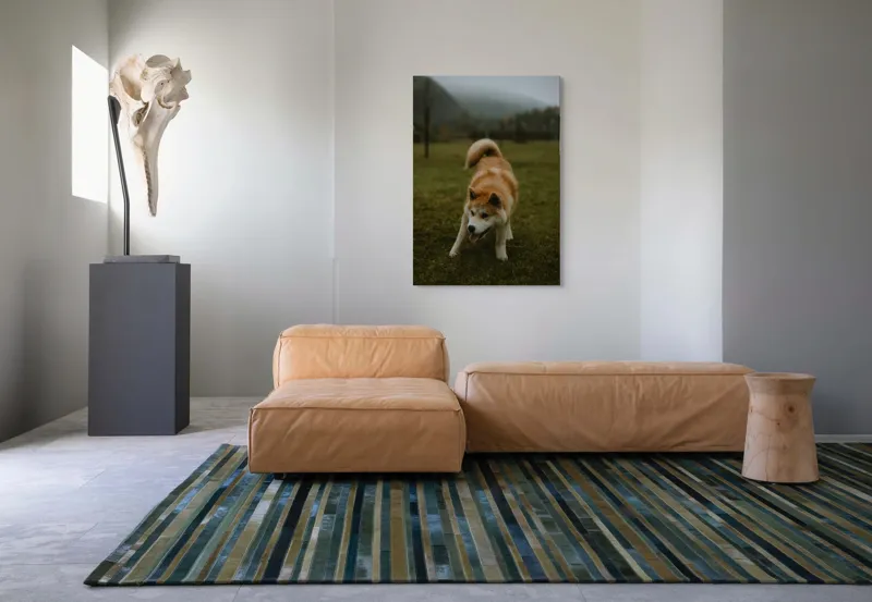 Tablou Canvas, "Câine jucăuș într-o dimineață cețoasă", Câine, Jucăuș, Blană, Verdeață, Coadă, Nori, Pădure, Relaxare, 70 x 100 cm – poza 7