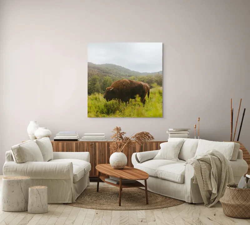 Tablou Canvas, "Zimbru singuratic în peisaj natural", Nu știu cine este în imagine., 100 x 100 cm – poza 3