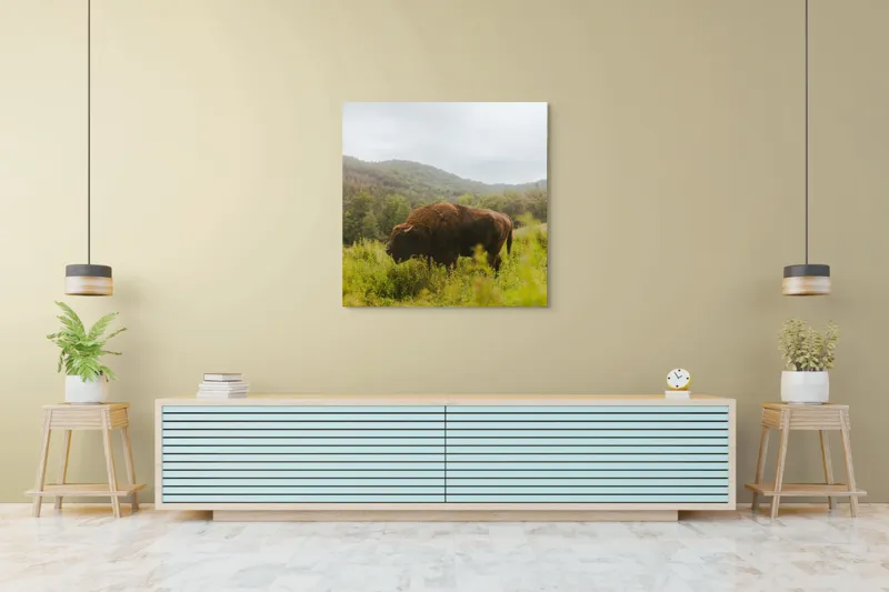 Tablou Canvas, "Zimbru singuratic în peisaj natural", Nu știu cine este în imagine., 100 x 100 cm – poza 5