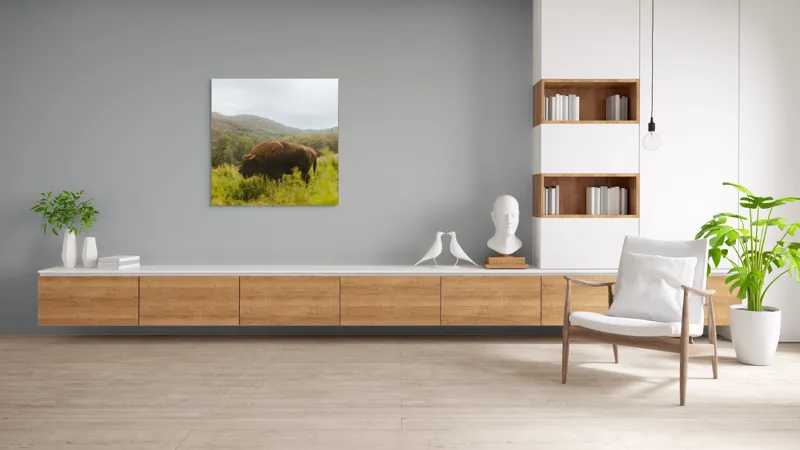 Tablou Canvas, "Zimbru singuratic în peisaj natural", Nu știu cine este în imagine., 100 x 100 cm – poza 8