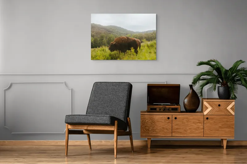 Tablou Canvas, "Zimbru singuratic în peisaj natural", 100 x 70 cm – poza 8