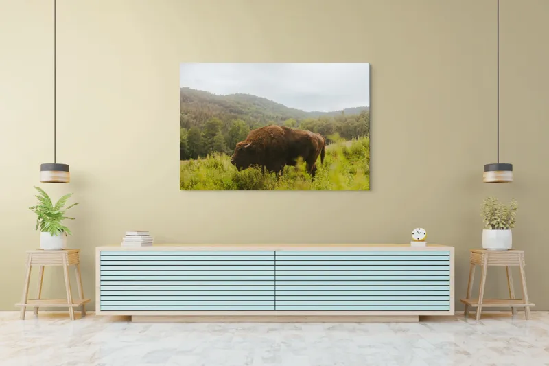 Tablou Canvas, "Zimbru singuratic în peisaj natural", 150 x 100 cm – poza 6