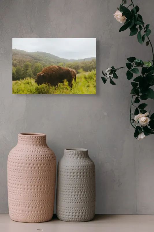 Tablou Canvas, "Zimbru singuratic în peisaj natural", 39 x 26 cm – poza 4