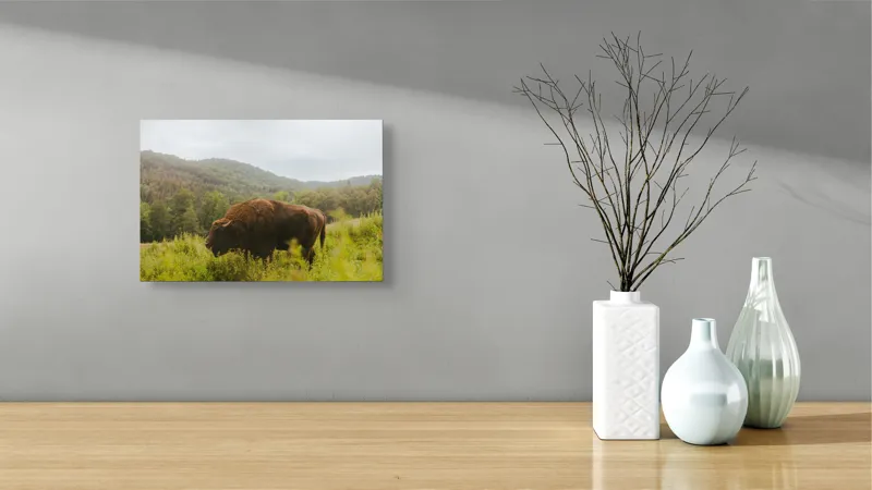 Tablou Canvas, "Zimbru singuratic în peisaj natural", 39 x 26 cm – poza 8