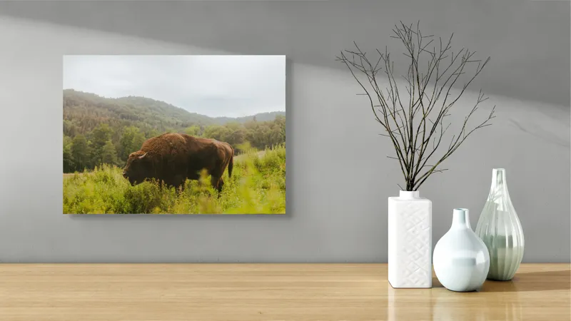 Tablou Canvas, "Zimbru singuratic în peisaj natural", 54 x 39 cm – poza 3