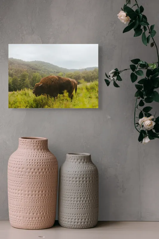 Tablou Canvas, "Zimbru singuratic în peisaj natural", 54 x 39 cm – poza 8