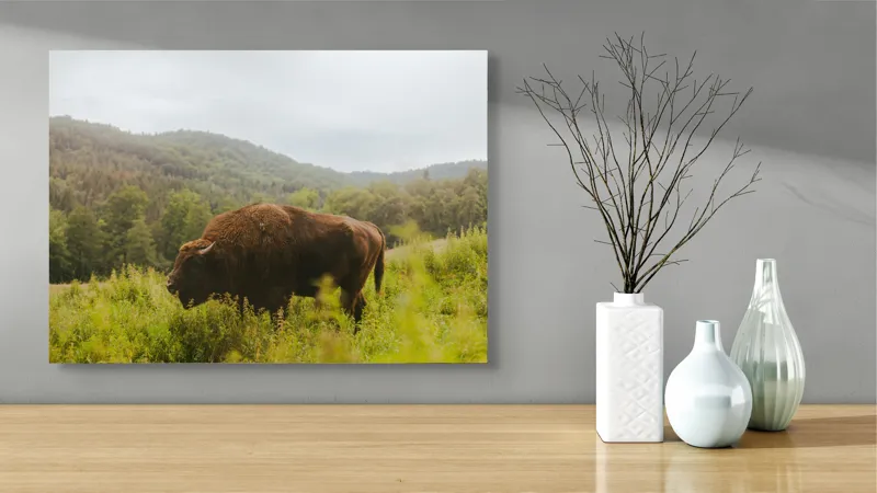 Tablou Canvas, "Zimbru singuratic în peisaj natural", 70 x 50 cm – poza 3