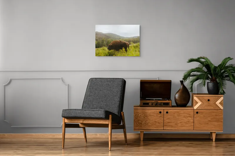Tablou Canvas, "Zimbru singuratic în peisaj natural", 70 x 50 cm – poza 4