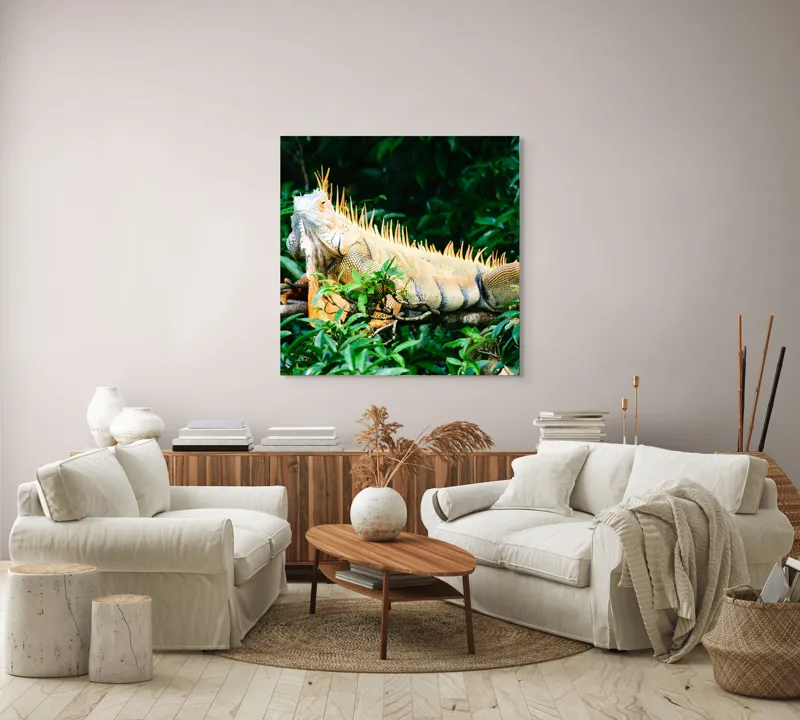 Tablou Canvas, "Iguana odihnindu-se printre frunze verzi", Iguana, Verde, Frunze, Ramură, Spini, Soare, Natură, Peisaj., 100 x 100 cm – poza 3