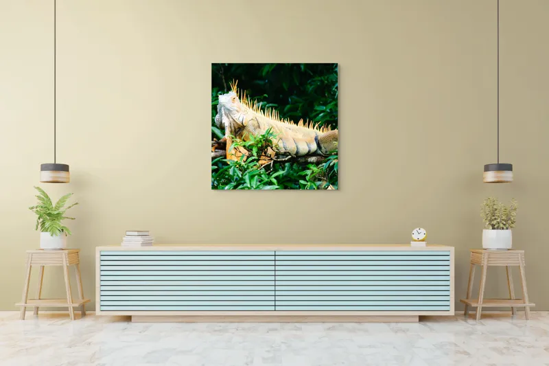 Tablou Canvas, "Iguana odihnindu-se printre frunze verzi", Iguana, Verde, Frunze, Ramură, Spini, Soare, Natură, Peisaj., 100 x 100 cm – poza 5