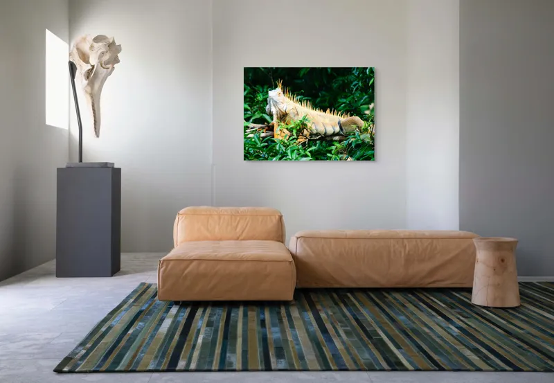 Tablou Canvas, "Iguana odihnindu-se printre frunze verzi", Iguana, Verde, Frunze, Ramură, Spini, Soare, Natură, Peisaj., 100 x 70 cm – poza 7