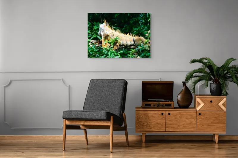 Tablou Canvas, "Iguana odihnindu-se printre frunze verzi", Iguana, Verde, Frunze, Ramură, Spini, Soare, Natură, Peisaj., 100 x 70 cm – poza 8