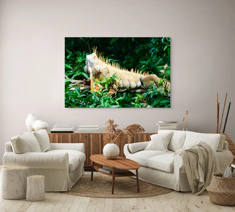 Tablou Canvas, "Iguana odihnindu-se printre frunze verzi", Iguana, Verde, Frunze, Ramură, Spini, Soare, Natură, Peisaj., 150 x 100 cm – poza 3