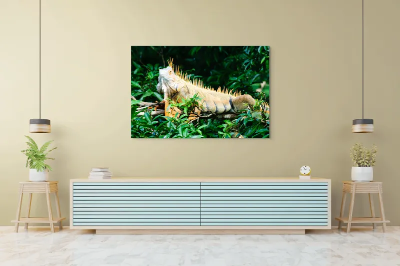 Tablou Canvas, "Iguana odihnindu-se printre frunze verzi", Iguana, Verde, Frunze, Ramură, Spini, Soare, Natură, Peisaj., 150 x 100 cm – poza 6
