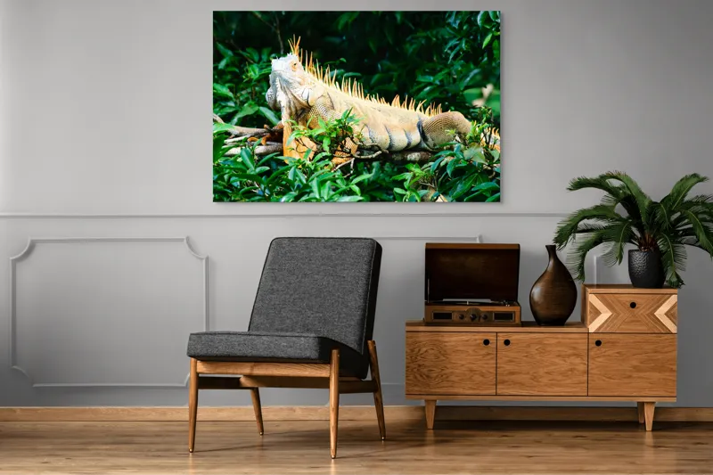 Tablou Canvas, "Iguana odihnindu-se printre frunze verzi", Iguana, Verde, Frunze, Ramură, Spini, Soare, Natură, Peisaj., 150 x 100 cm – poza 8