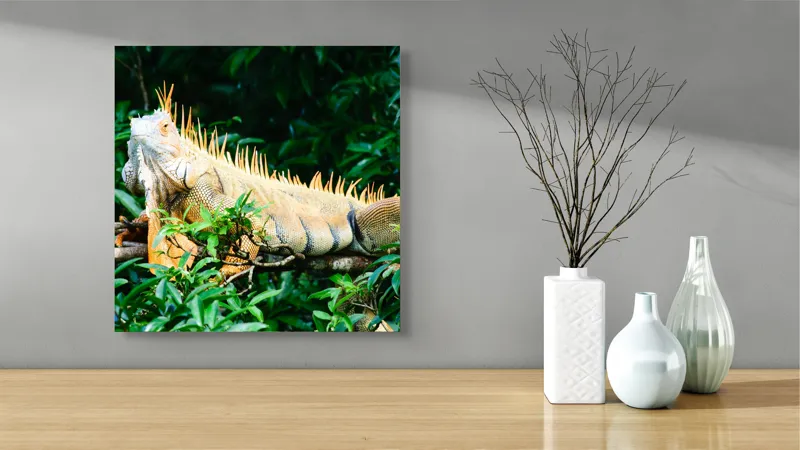 Tablou Canvas, "Iguana odihnindu-se printre frunze verzi", Iguana, Verde, Frunze, Ramură, Spini, Soare, Natură, Peisaj., 50 x 50 cm – poza 3