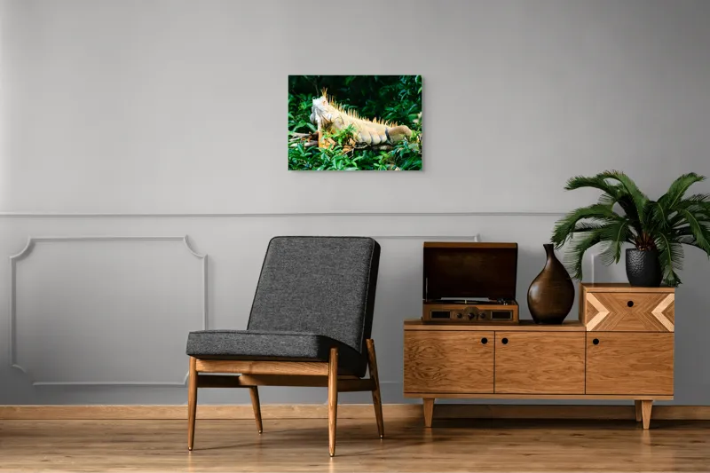 Tablou Canvas, "Iguana odihnindu-se printre frunze verzi", Iguana, Verde, Frunze, Ramură, Spini, Soare, Natură, Peisaj., 70 x 50 cm – poza 4