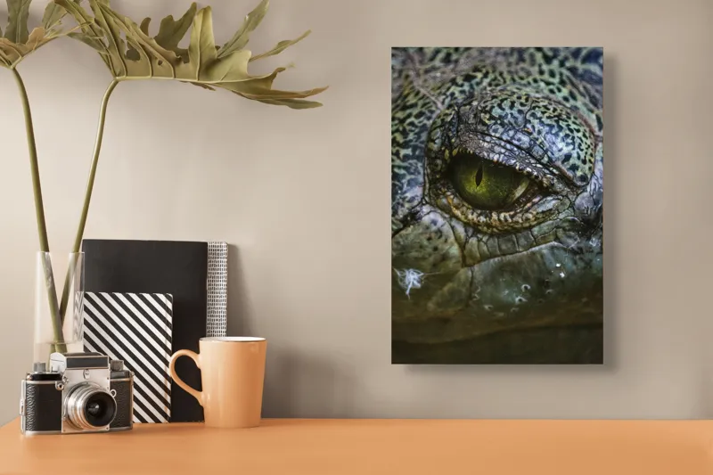 Tablou Canvas, "Privirea enigmatică a reptilei misterioase", 26 x 39 cm – poza 3